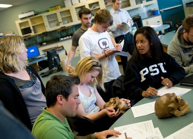 group of students examining skulls