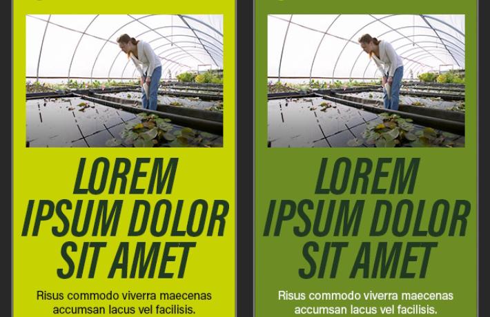 Example of advertising templates