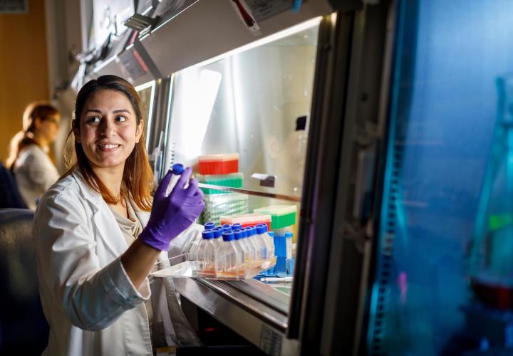Student working in lab