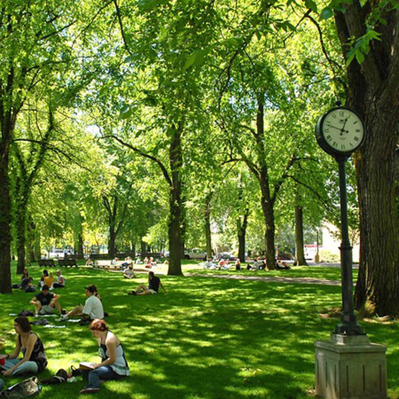 Portland State University Park Blocks with students studying