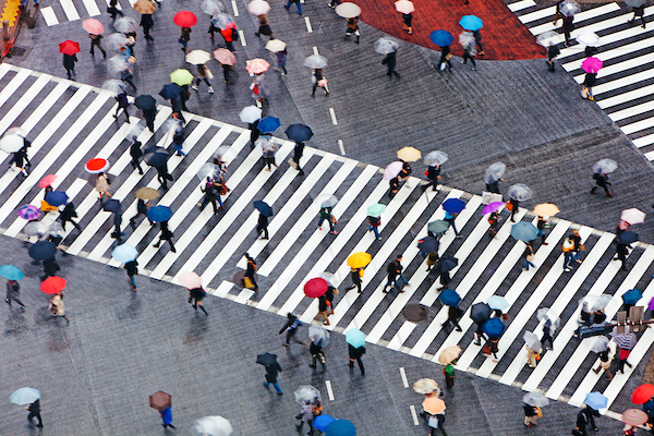 People walking on crosswalk. 