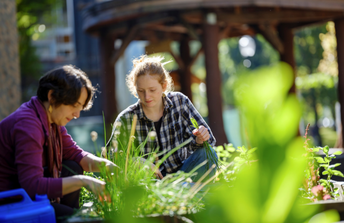 Students gardening