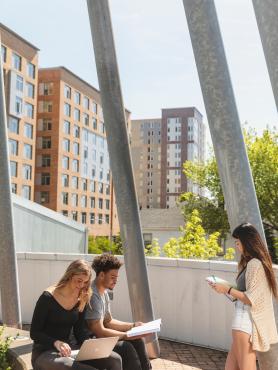 Students studying