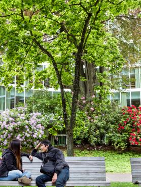 Two students sitting outside of the PSU Millar Library