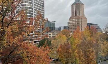 Downtown Portland buildings and trees 