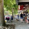  Sidewalk dining in Seattle's Madison Park neighborhood. Pedestrians with dogs on leashes stroll along a wide sidewalk. There are shop windows on their right, while to their left, diners (including one person using a wheelchair) enjoy a meal al fresco underneath a shade tree.