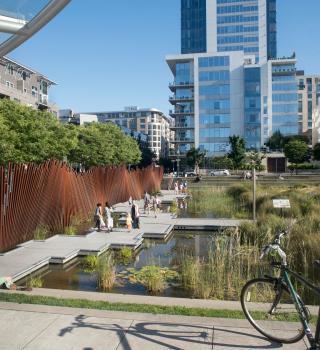 Park with bike in foreground and buildings in the background