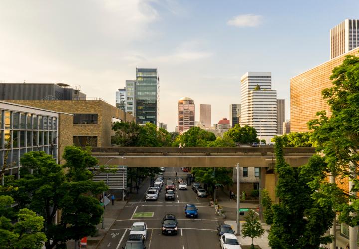 Picture of PSU Walking Bridge