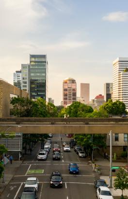 Picture of PSU Walking Bridge