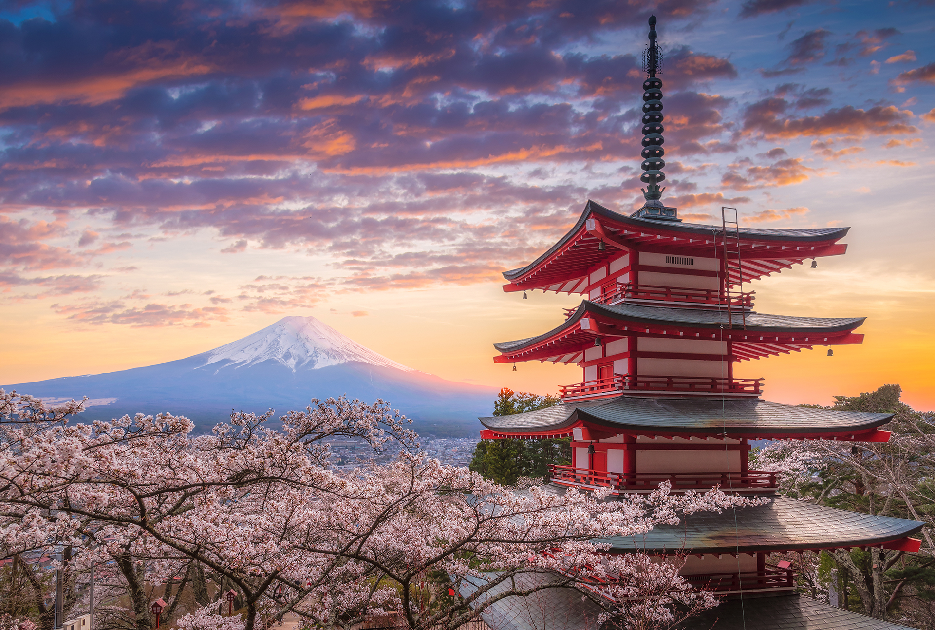 View of Mt. Fuji over cherry trees and Japanese architecture