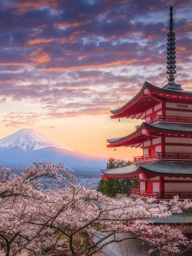 View of Mt. Fuji over cherry trees and Japanese architecture