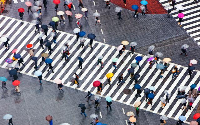 PSU world languages teaching japanese as a foreign language undergraduate students crossing busy tokyo street