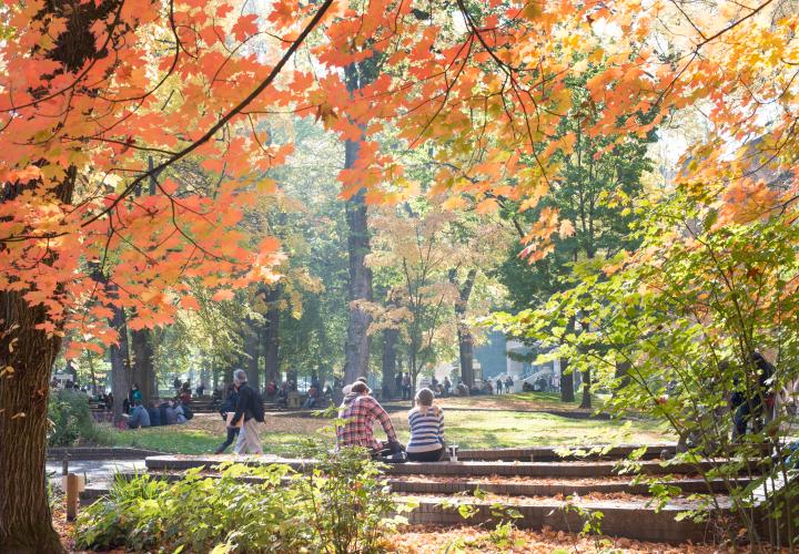 PSU Park Blocks in the fall
