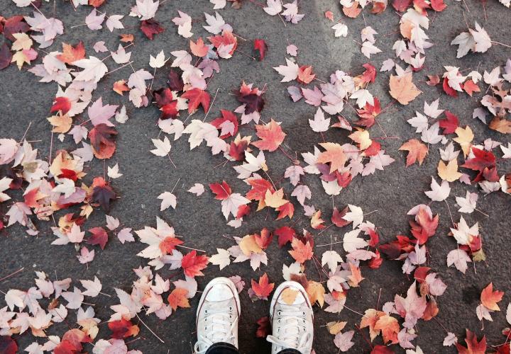 shoes standing on autumn leaves